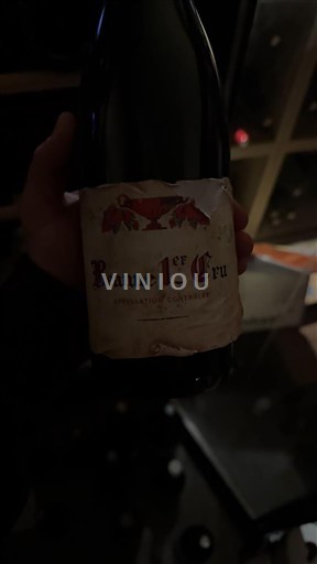 Bourgogne Beaune Premier Cru Gugu 2019