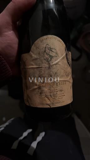 Linguadoca e Rossiglione Coteaux di Béziers Domaine Colombette 2015