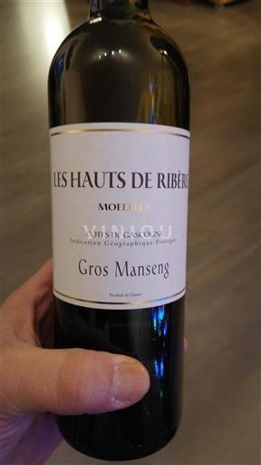 Jugozahod Côtes de Gascogne Les Hauts de Ribérot Gros Manseng Neleten.