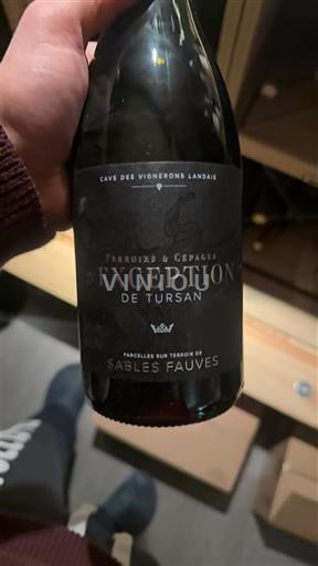Tây Nam Tursan Cave des Vignerons Landais Terroirs & Cépages d'Exception 2020
