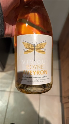 Sudoeste Aveyron Boyne 2020