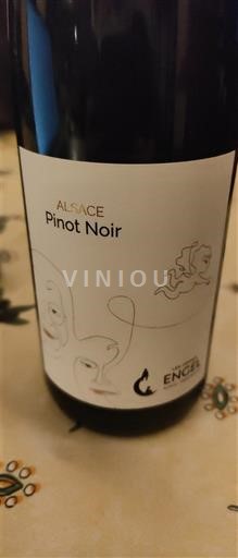 Alsace Pinot noir Les Frères Engel Alsace Pinot Noir 2020