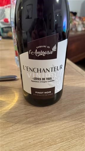 Lotharingen Côtes de Toul Domaine L'Ambroisie L'Enchanteur 2023