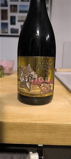 Langvedok Pic-saint-loup Château Chateauu de la salade saint henri Et in ARCADIA ego 2020