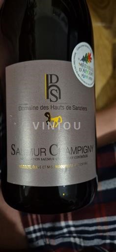 Dolina Loare Saumur-champigny Domaine S Hauts de Sanziers Neleten.