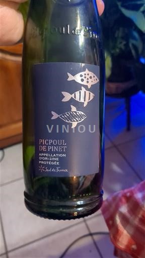 Langvedok Picpoul-de-Pinet Sca de florensac Neleten.