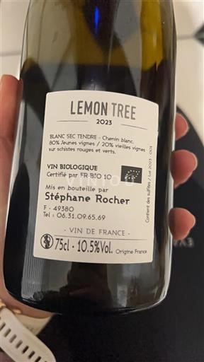 Loiredalen Ospecificerad Stéphane Rocher Lemon Tree 2023