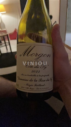 Beaujolais Morgon Domaine La Rose du Py Côte du Py 2023