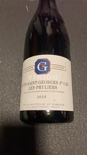 Bourgondië Niet gespecificeerd Premier Cru Philippe Gavignet Les Pruliers 2018