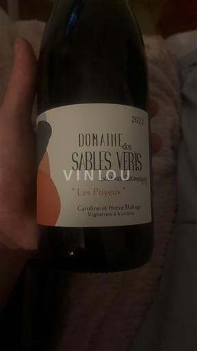 Dolina Loare Saumur-champigny Domaine S Sables Verts Les Poyeux 2023