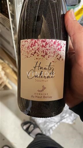 Valle del Loira Saumur Domaine Haut Bellay Hauts de Caterne Sin añada