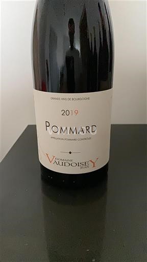 Vinhos Rouge sec Domaine Vaudoisey 2019 França Borgonha Pommard AOC