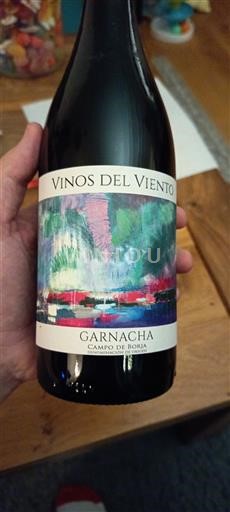 Aragonien Campo de Borja Vinos del Viento 2021