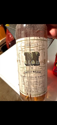 Burdeos Primeras Colinas de Burdeos Château Malagar 1985