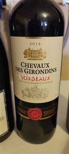 Bordeaux Chevaux des Girondins 2014