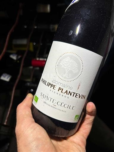 Rona dolina Ni doloceno Domaine Philippe Plantevin Sainte-Cécile Neleten.
