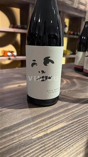 Castilla-La Mancha La Mancha Hoya de Monjas 2023