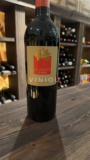 Vine Rouge sec Les Angelots De Gracia 2019 Frankrig Bordeaux Saint-Émilion AOC