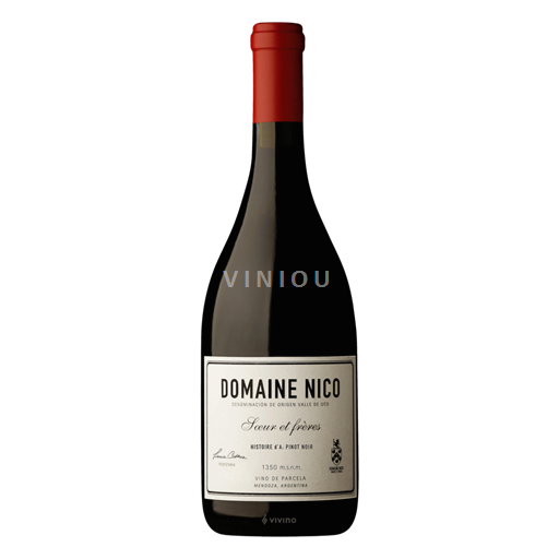 Mendoza Domaine Nico Pinot Noir Histoire d'A - Soeur et frères 2020