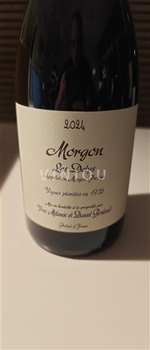 Beaujolais Morgon Vins Mélanie et Daniel Bouland Les Délys 2024