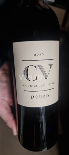 Portugal Douro Quinta do Vale Dona Maria CV Curriculum Vitae 2020