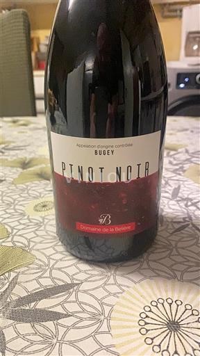 Savoie và Bugey Bugey Domaine La Reidre Không niên vụ