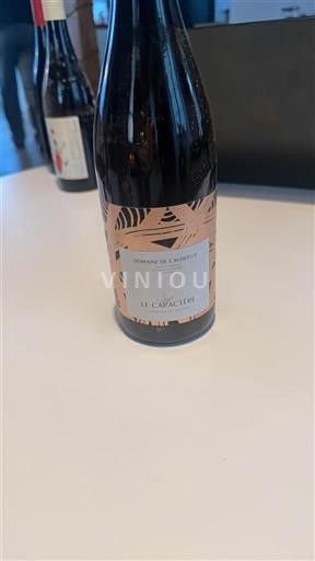 Borgogna Domaine Chassorney Le Carecierge 2020