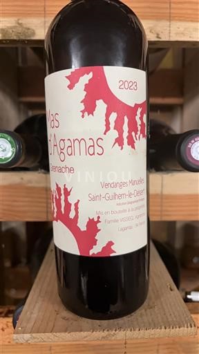 Linguadoca e Rossiglione Saint-Guilhem-le-Désert Mas d'Agamas 2023