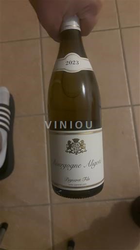Bourgogne Bourgogne-aligoté Pigneret & fils 2023