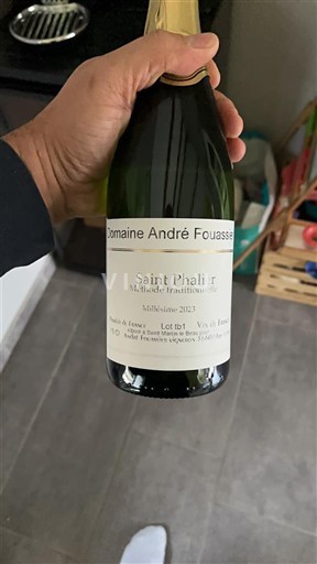 Vallée de la Loire Saint-Pourçain Domaine André Fouassier Saint Phalier 2023