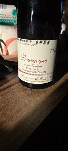 Bourgondië Bourgogne Domaine Collotte de Noble Souche 2023