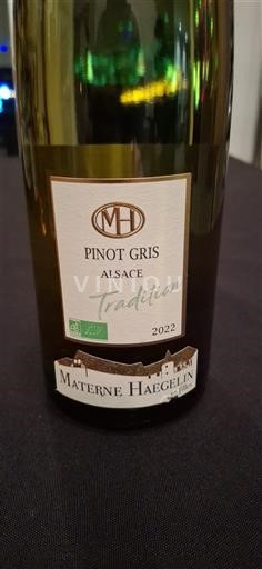 Alsacia Materne Haegelin Tradition 2022