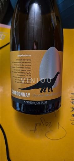 Languedoc e Roussillon Pays d'oc Anne de Joyeuse Terres des Dinosaures 2024