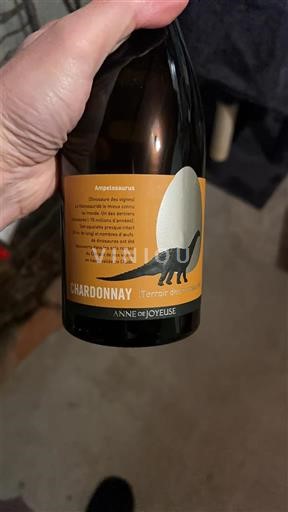 Languedoc-Roussillon Pays d'Oc Anne de Joyeuse Terres des Dinosaures 2024