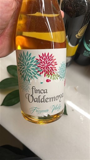 Castilla y León Không được chỉ định Finca Valdemoya Frizzante Verdejo Không niên vụ