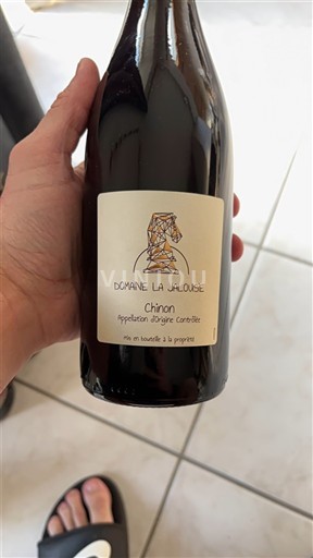 Vale do Loire Chinon Domaine La Jalousie 2021 Não Sazonado