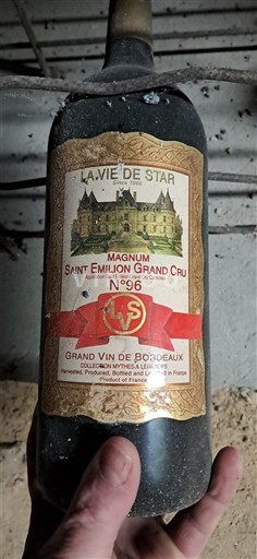 Bordeaux Saint-Émilion Grand Cru Grand Cru La Vie de Star Neročník
