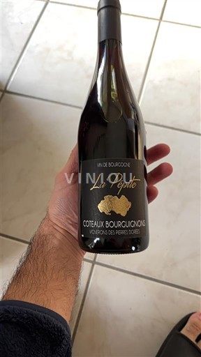 Burgundy Coteaux Bourguignons La Pépite 2023 Non-Vintage