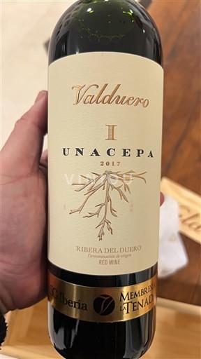 Castilien og León Ribera del Duero Valduero Una Cepa 2017