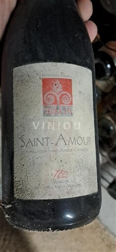 Beaujolais Saint-Amour Terra Lys 1999