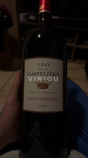 Bordeaux Saint-Émilion Léo de la Gaffelière Sélection d'Excellence 2020