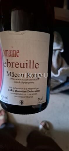 Burgundsko Mâcon a mâconské vesnice Domaine Breuille 2017