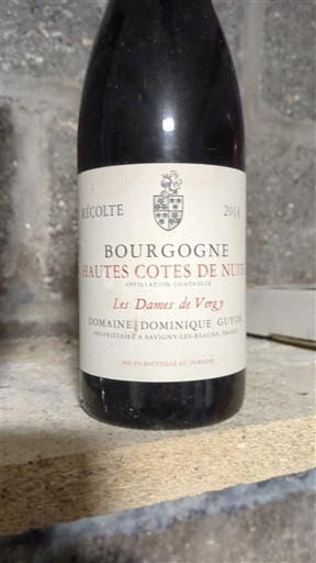 Borgogna Hautes Côtes de Nuits Dominique Guyon Les Dames de Vergy 2014