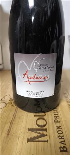 Langvedok Grès de Montpellier Domaine Cante Vigné Audace 2017