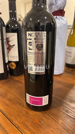 Castilien og León Ribera del Duero Raiz Roble 2018