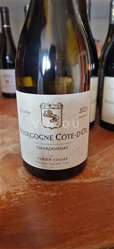 Burgundija Bourgogne zlata obala Fabien Coche 2023