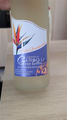 Rona dolina Ni doloceno Domaine Gros Pata Pata Gourmand 2024