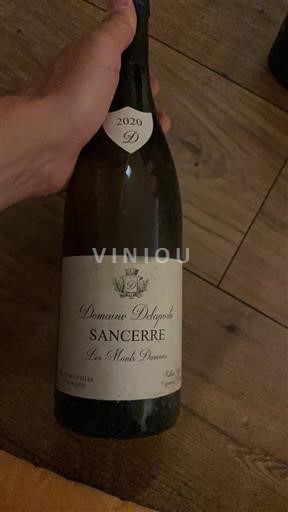 Valle della Loira Sancerre Domaine Delaporte Les Monts Damnés 2020