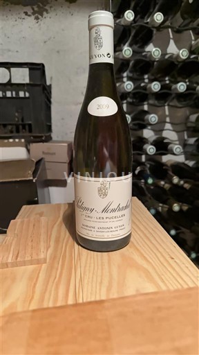 Bourgogne Puligny-montrachet Domaine Antonin Guyon Les Pucelles 2009