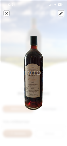 Tây Nam Bergerac Domaine L'Ancienne Cure Le rouge 1996